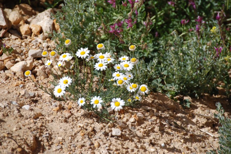 dsc_0072.jpg
