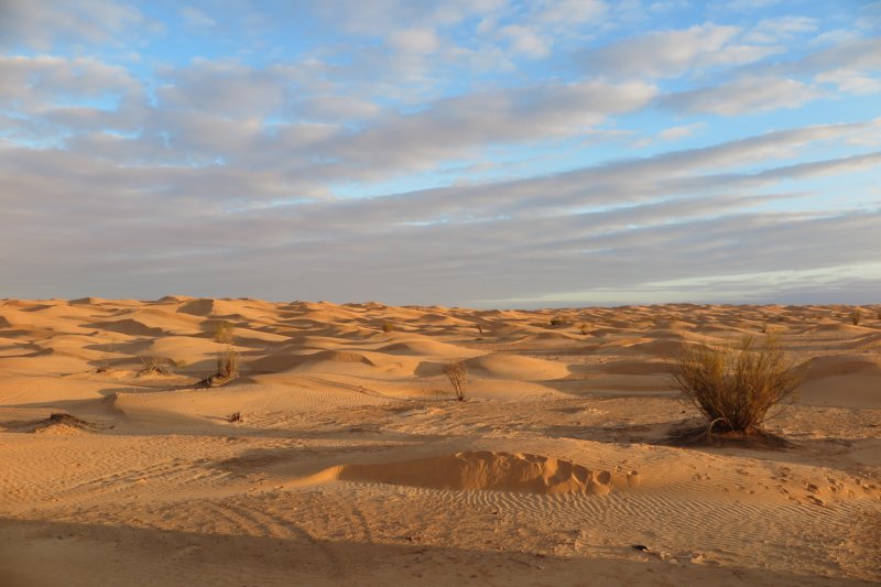 algeriatunisia108.jpg