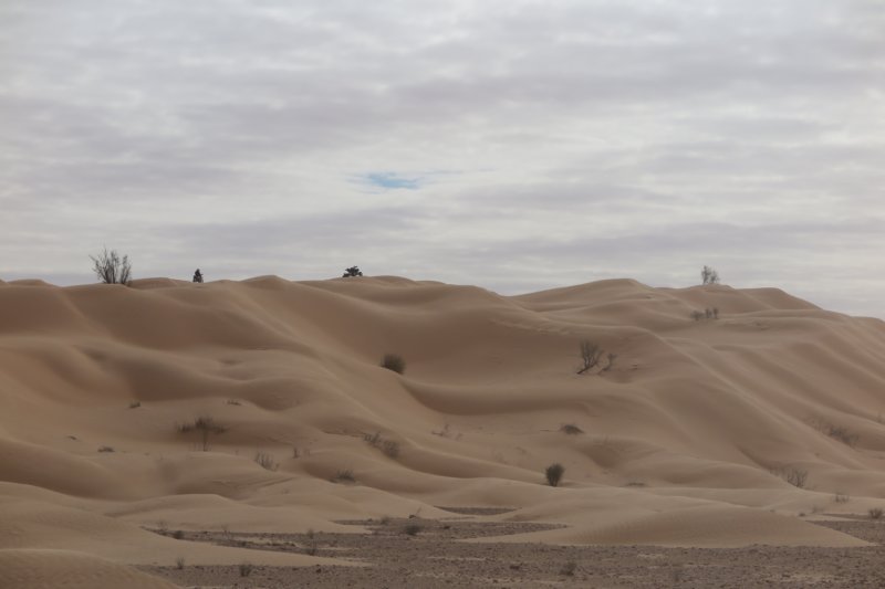 algeriatunisia131.jpg