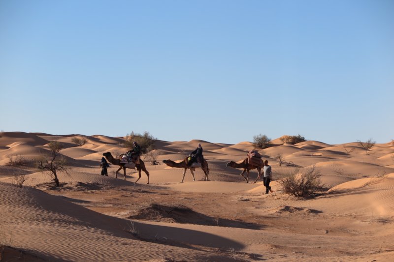 algeriatunisia195.jpg