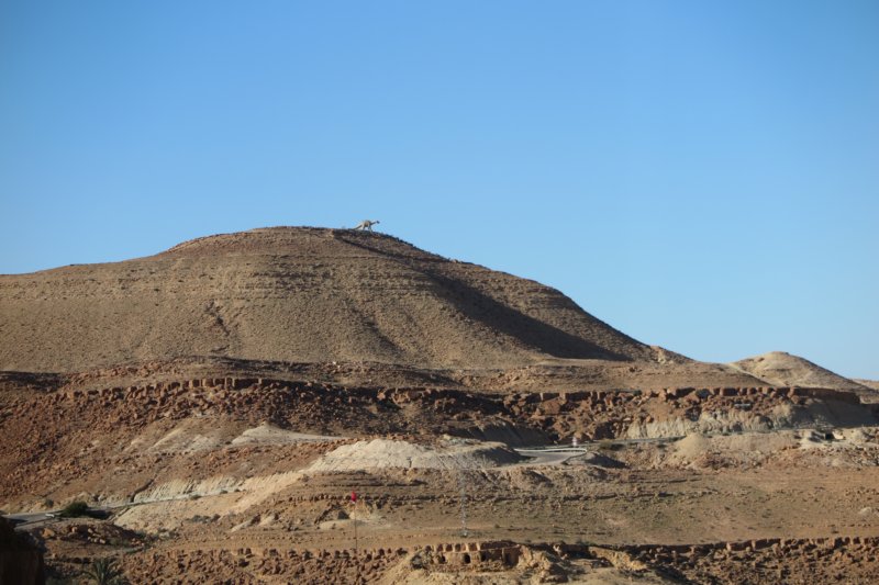 algeriatunisia266.jpg