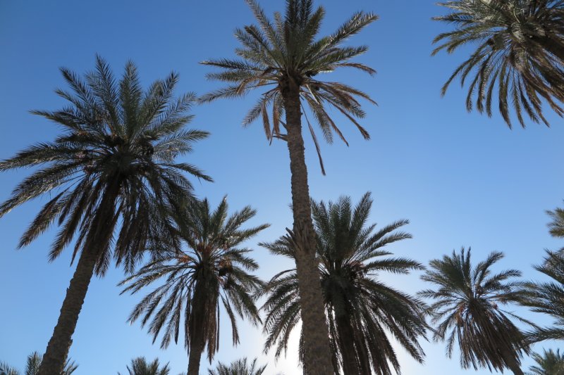 algeriatunisia316.jpg